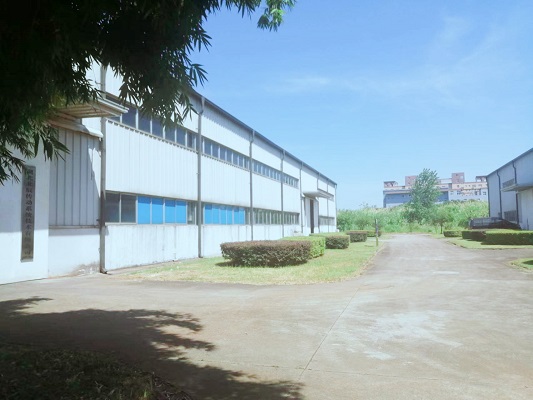 公司掠影3